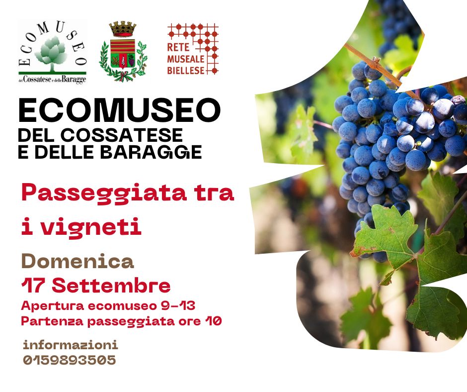 PASSEGGIATA TRA I VIGNETI - DOMENICA 17-09-2023